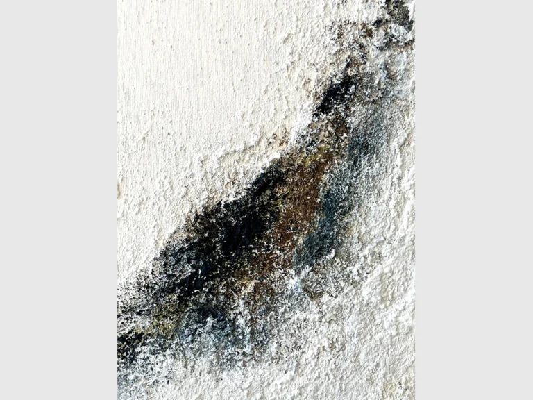 n1a