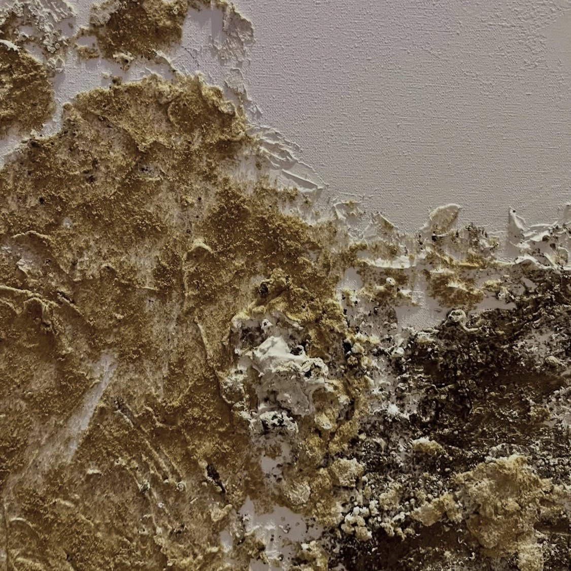 Detalle de relieve con hoja de oro